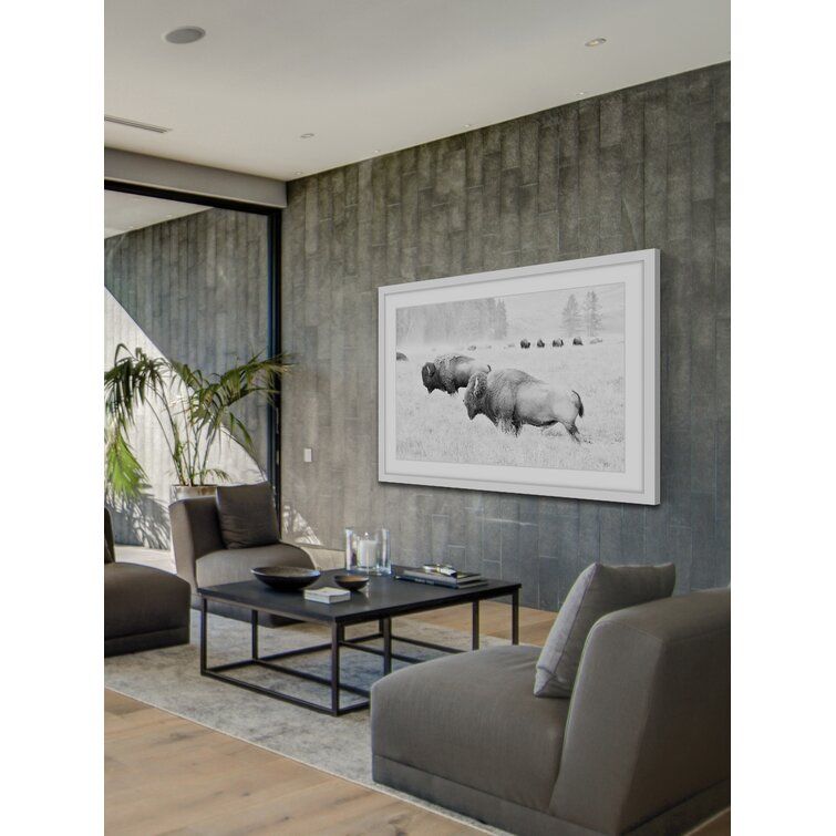 Buffalos Two Picture Photograph With Frame thumbnail 4