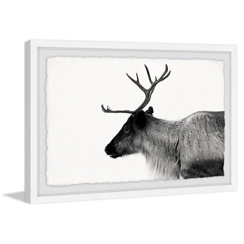 Balis Antler Profile - Picture Frame Graphic Art thumbnail 2