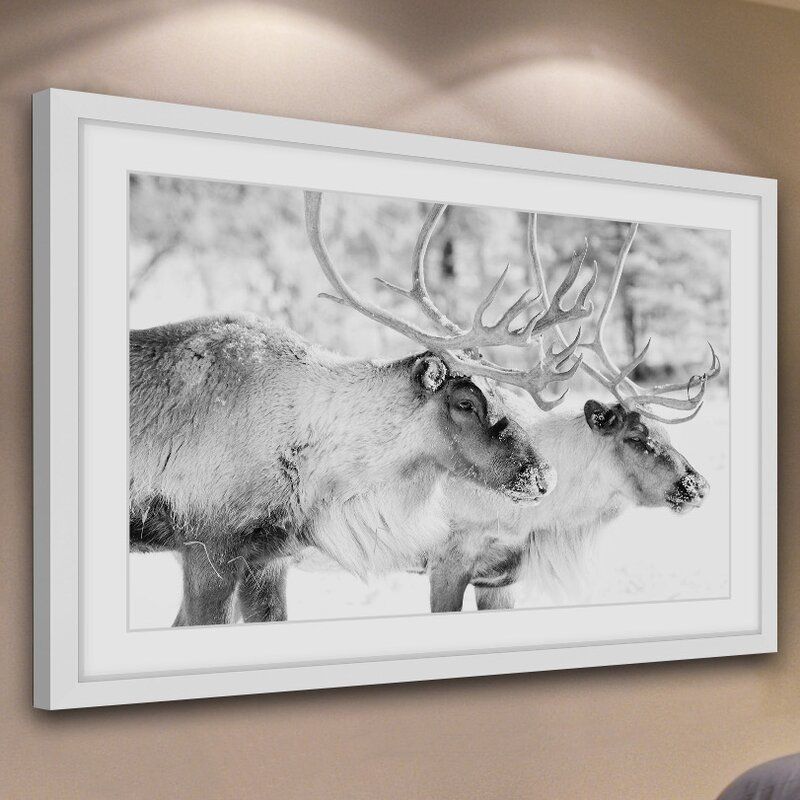 Elk Pair Picture Frame Photograph With Frame thumbnail 6