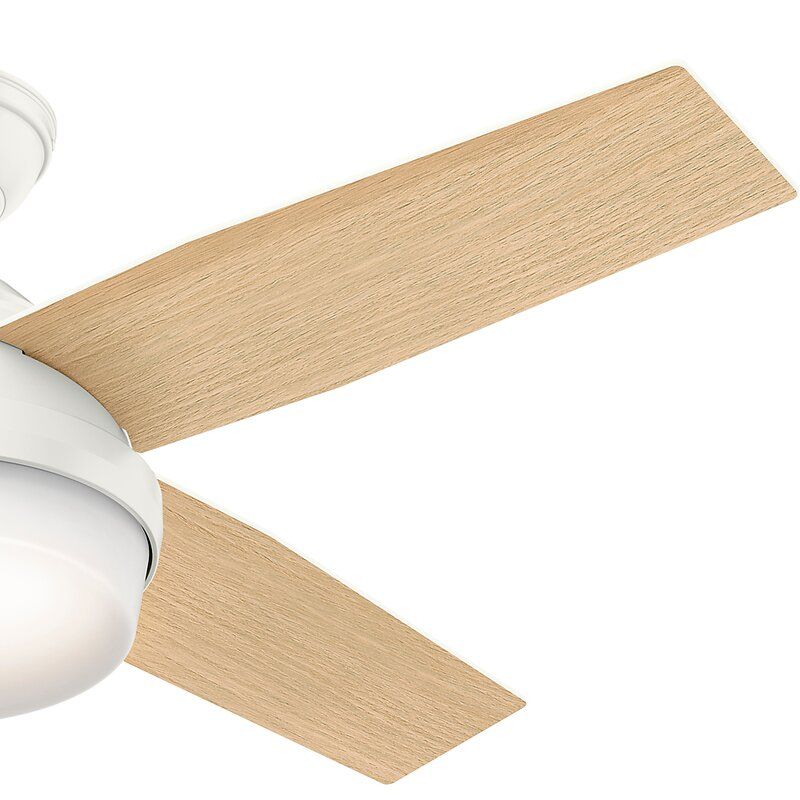 Dempsey 4 Blade LED Standard Ceiling Fan thumbnail 4