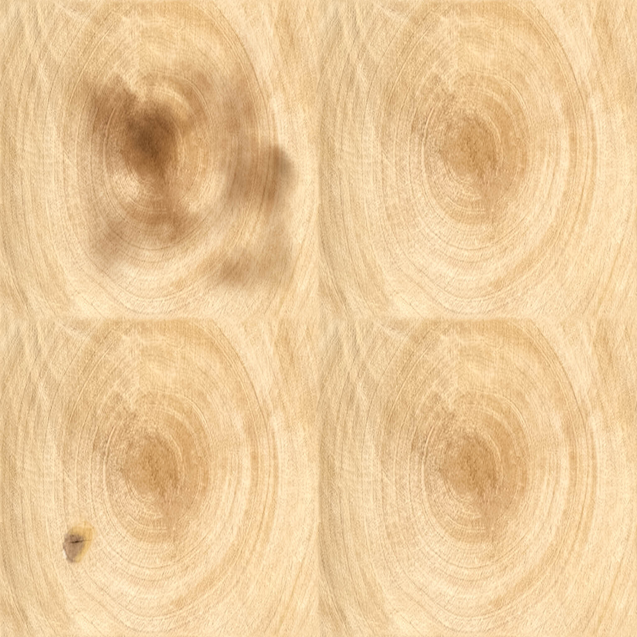 Birch Log Bundle Small thumbnail 8