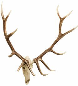 Elk European Wall Décor thumbnail 2