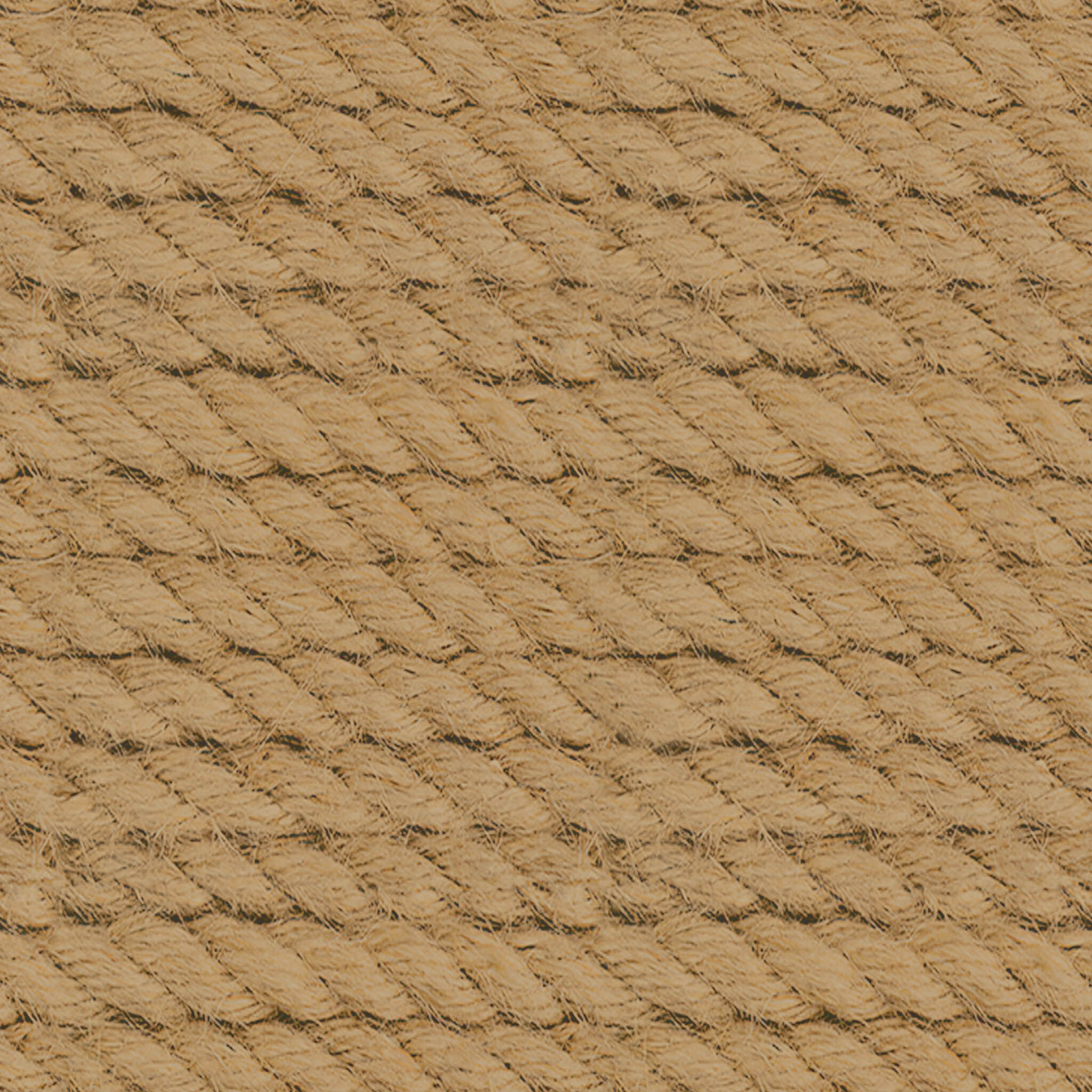 Birch Log Bundle Large thumbnail 7