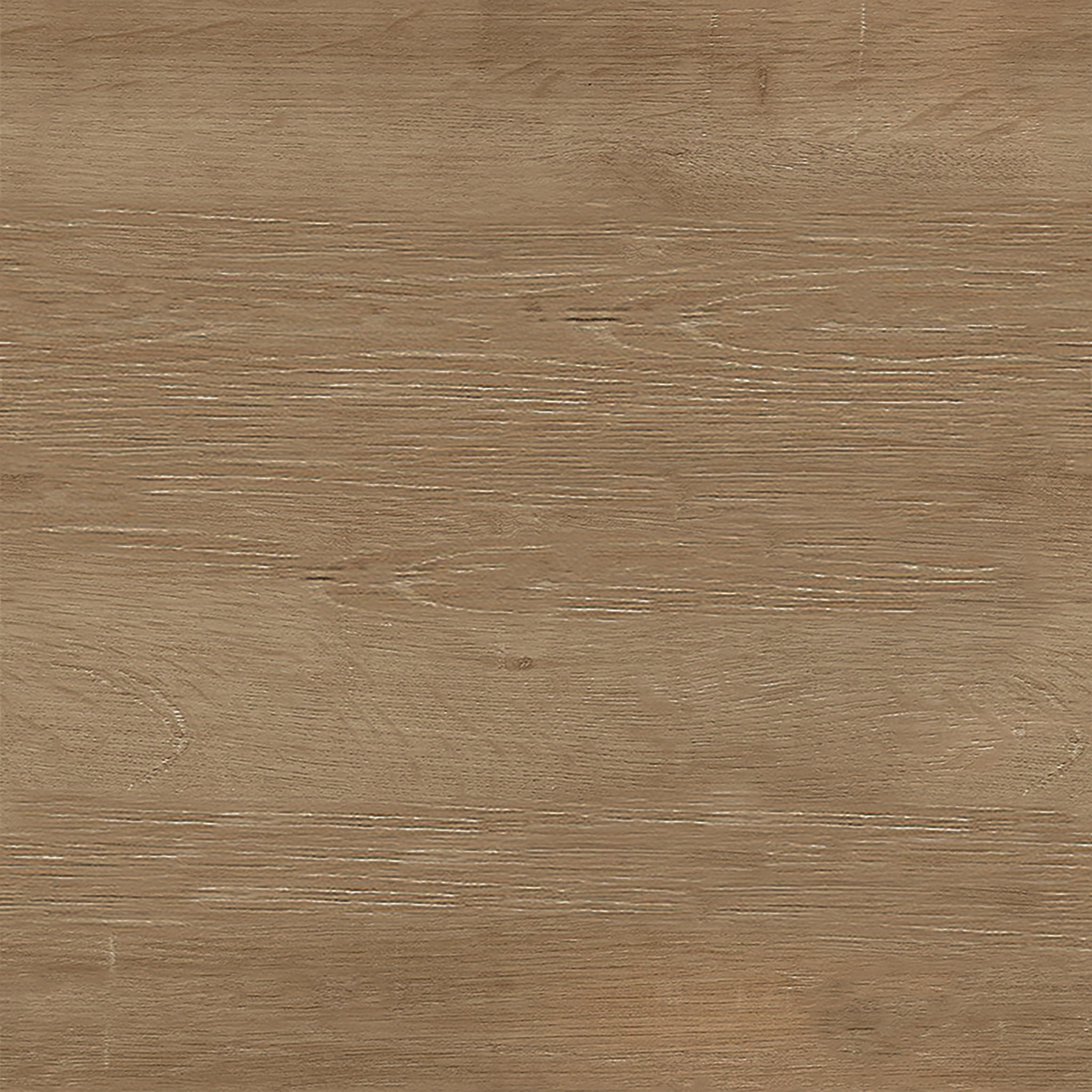 Felix Dining Chair thumbnail 4
