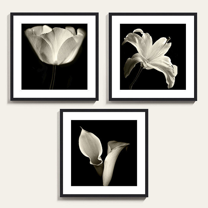 Contrast Botanical Art With Frame thumbnail 2