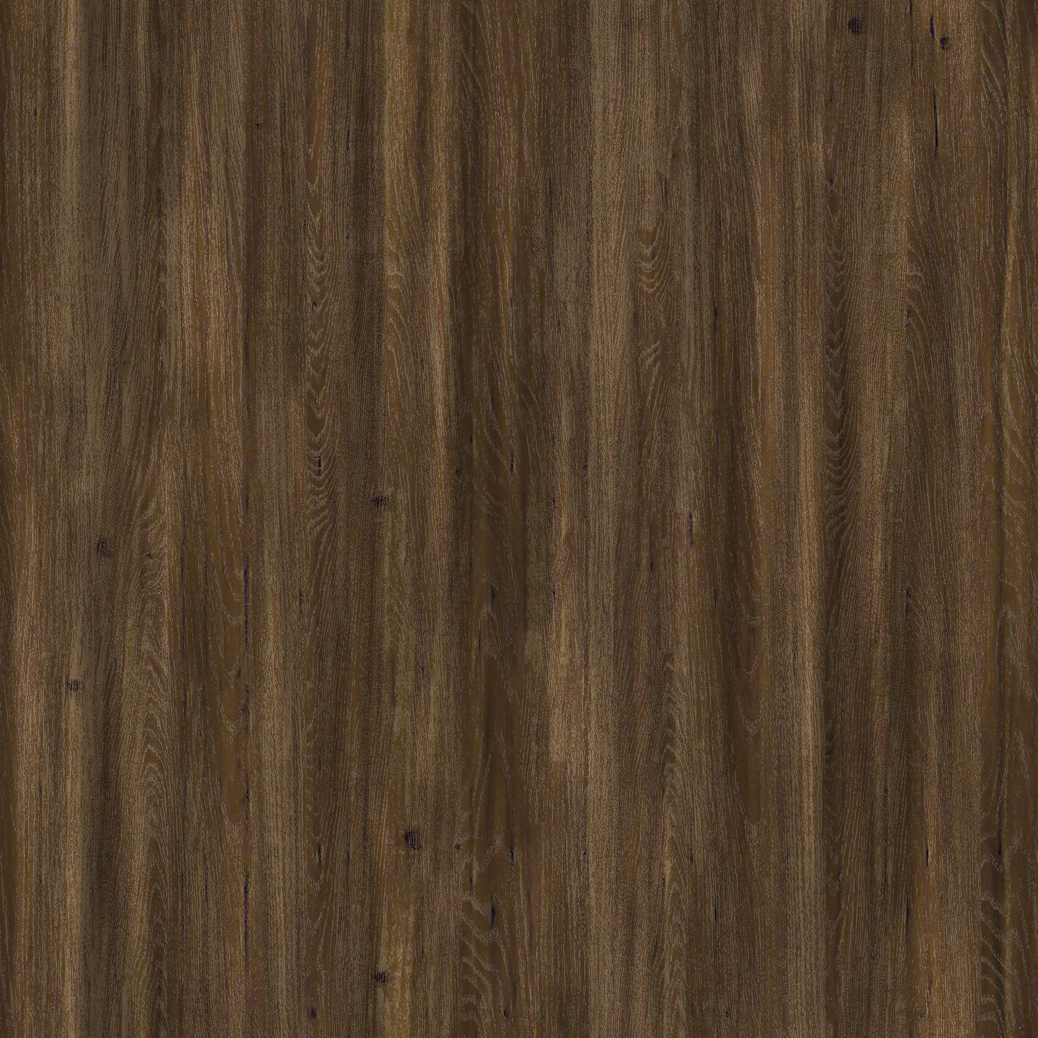 Luca Credenza thumbnail 4
