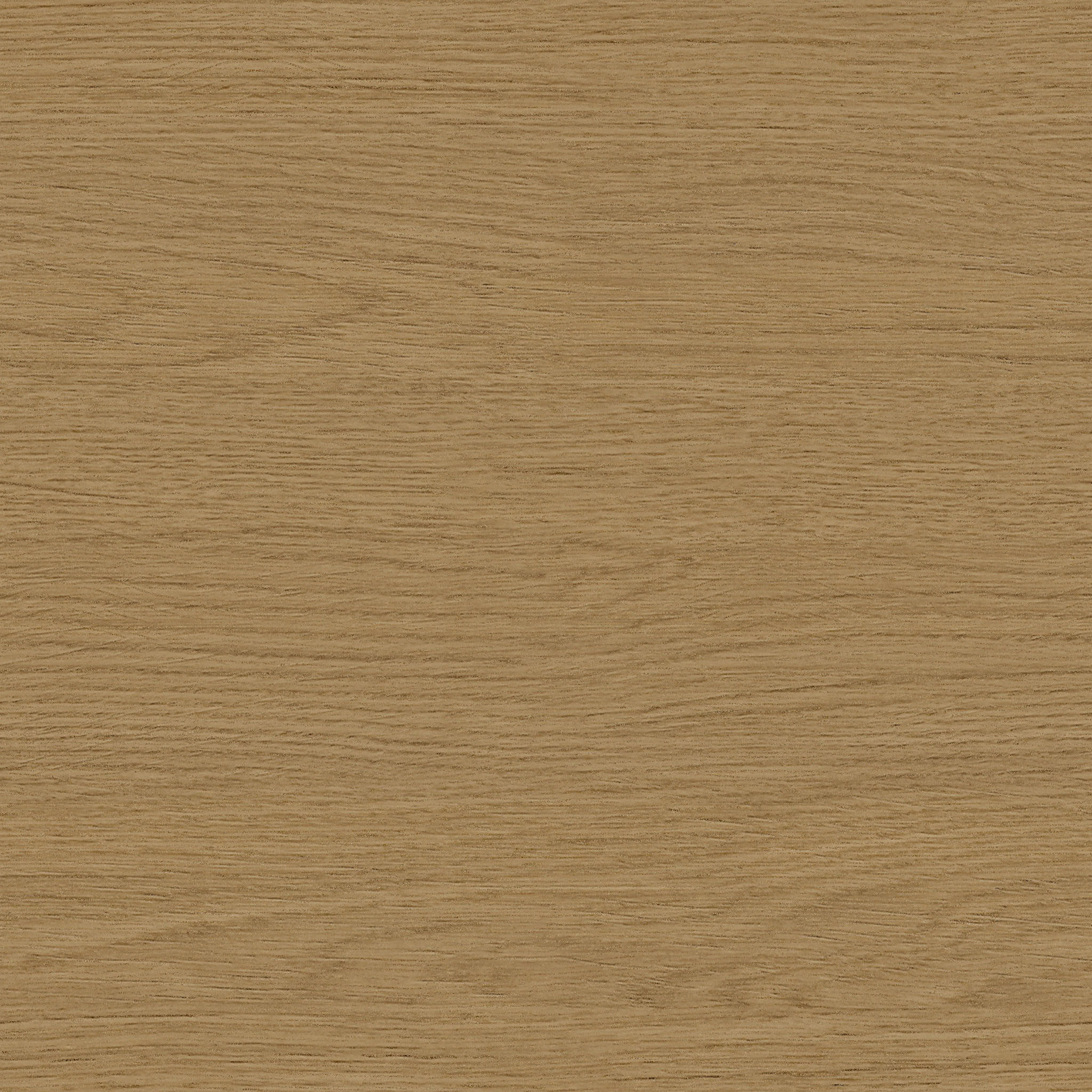 Elina Bench thumbnail 5