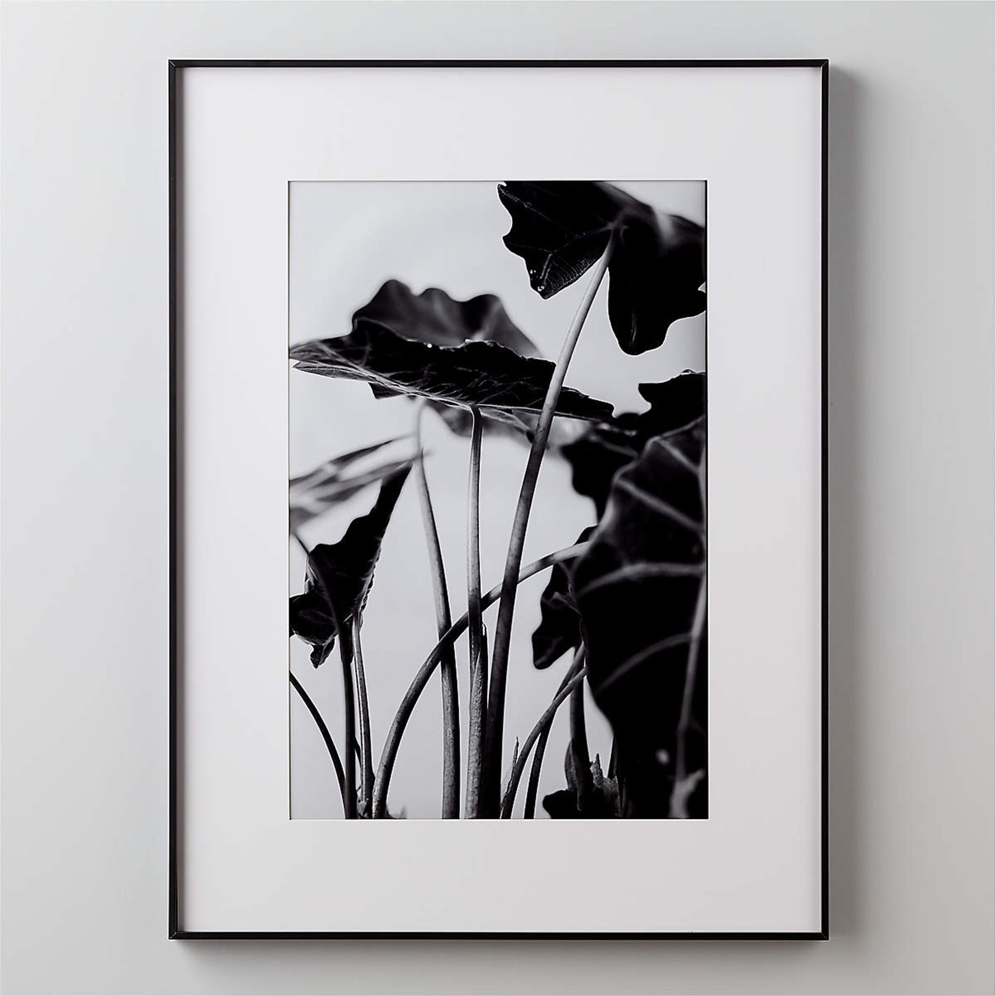 Gallery Black Picture With White Mat with frame 24"X36" thumbnail 2