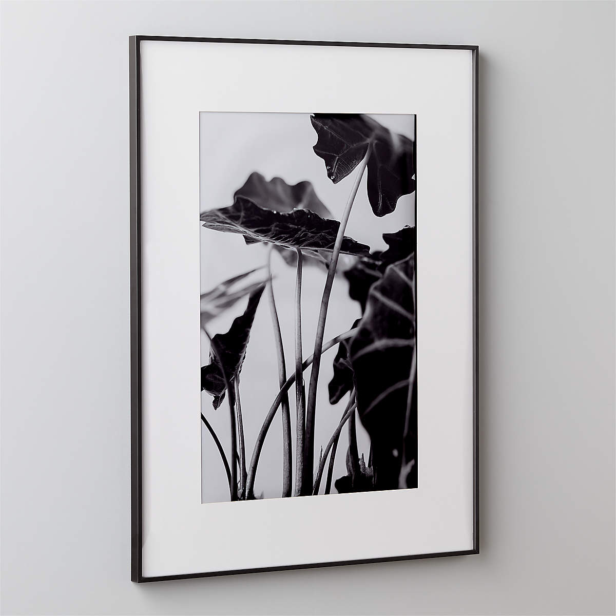 Gallery Black Picture With White Mat with frame 24"X36" thumbnail 3