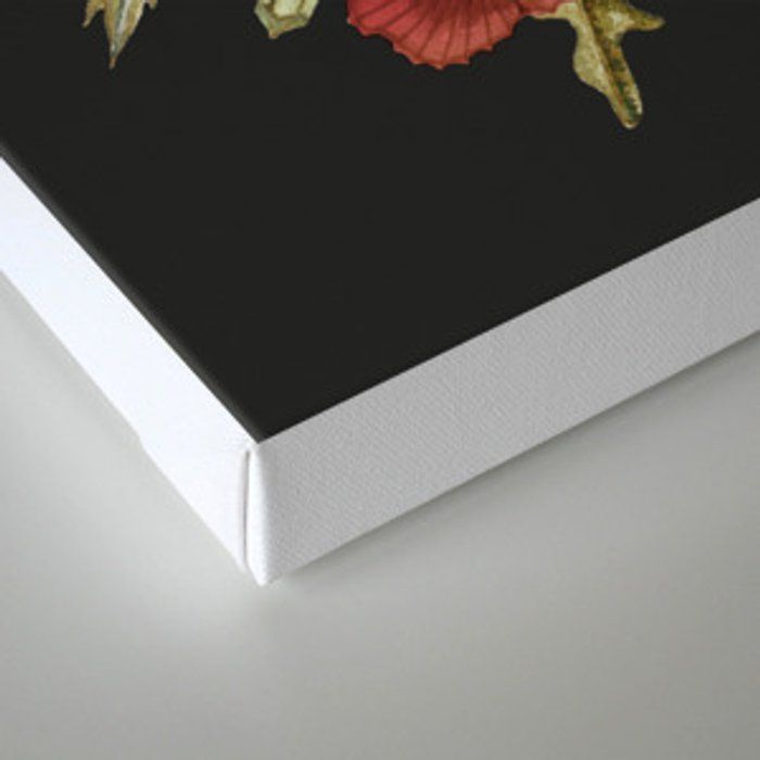 Colorful Wildflower Bouquet on Charcoal Black Canvas Print No Frame-18"x24" thumbnail 2