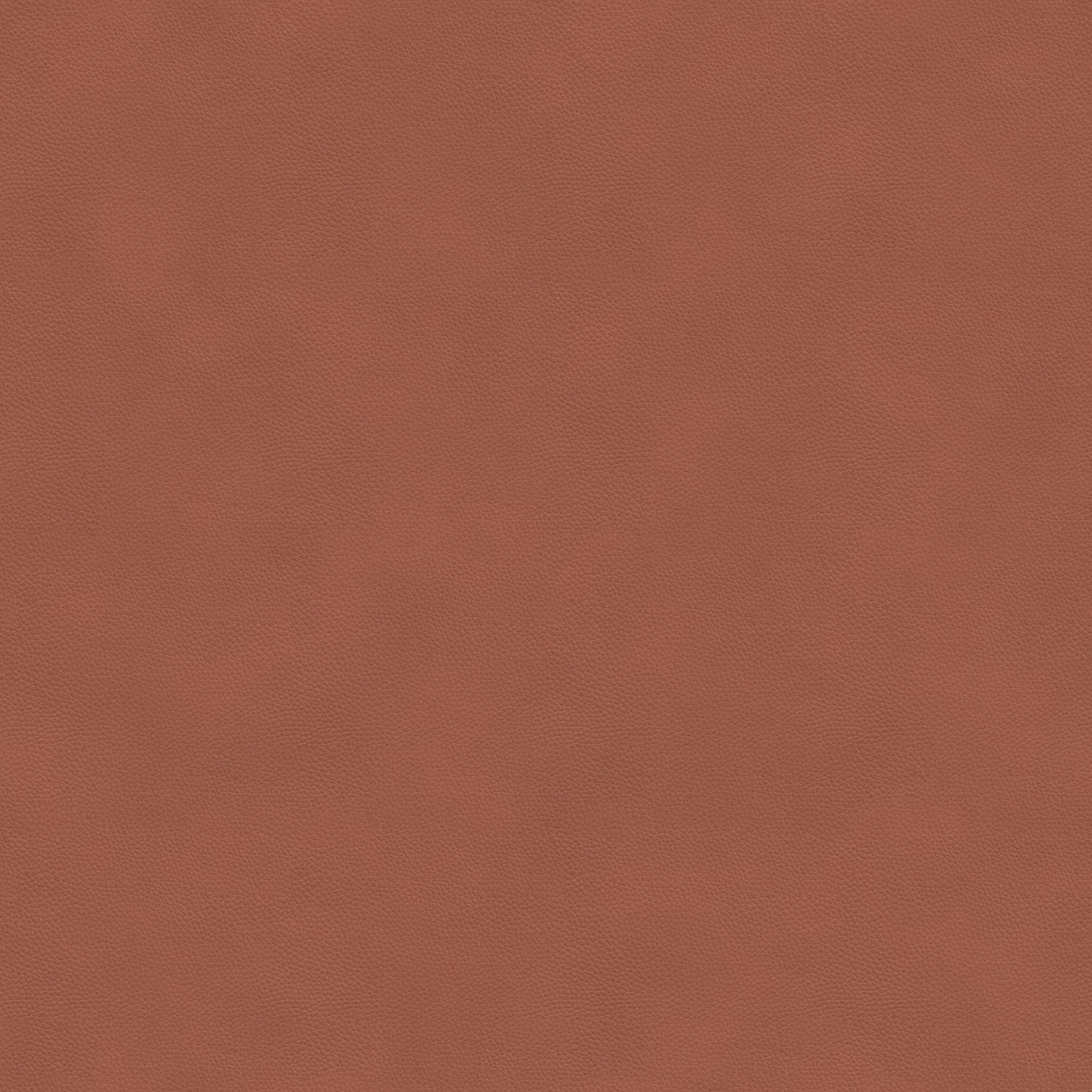 Holzer Mirror thumbnail 3
