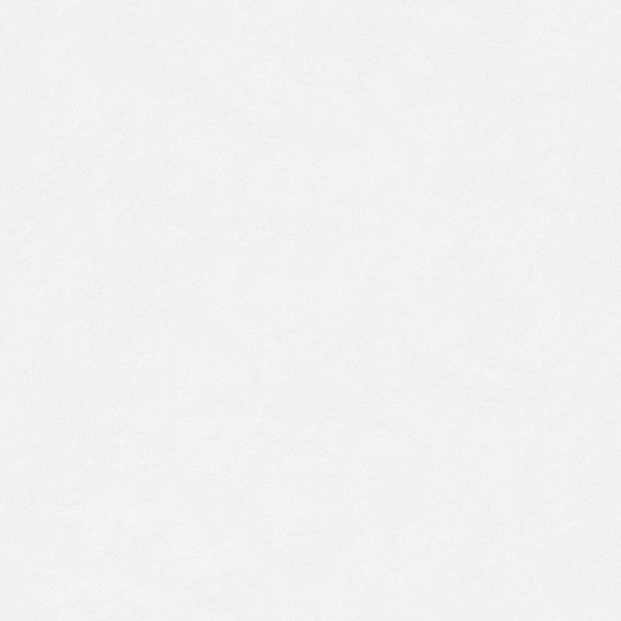 Border Frame Standard Shams without Insert-20"x26" thumbnail 4