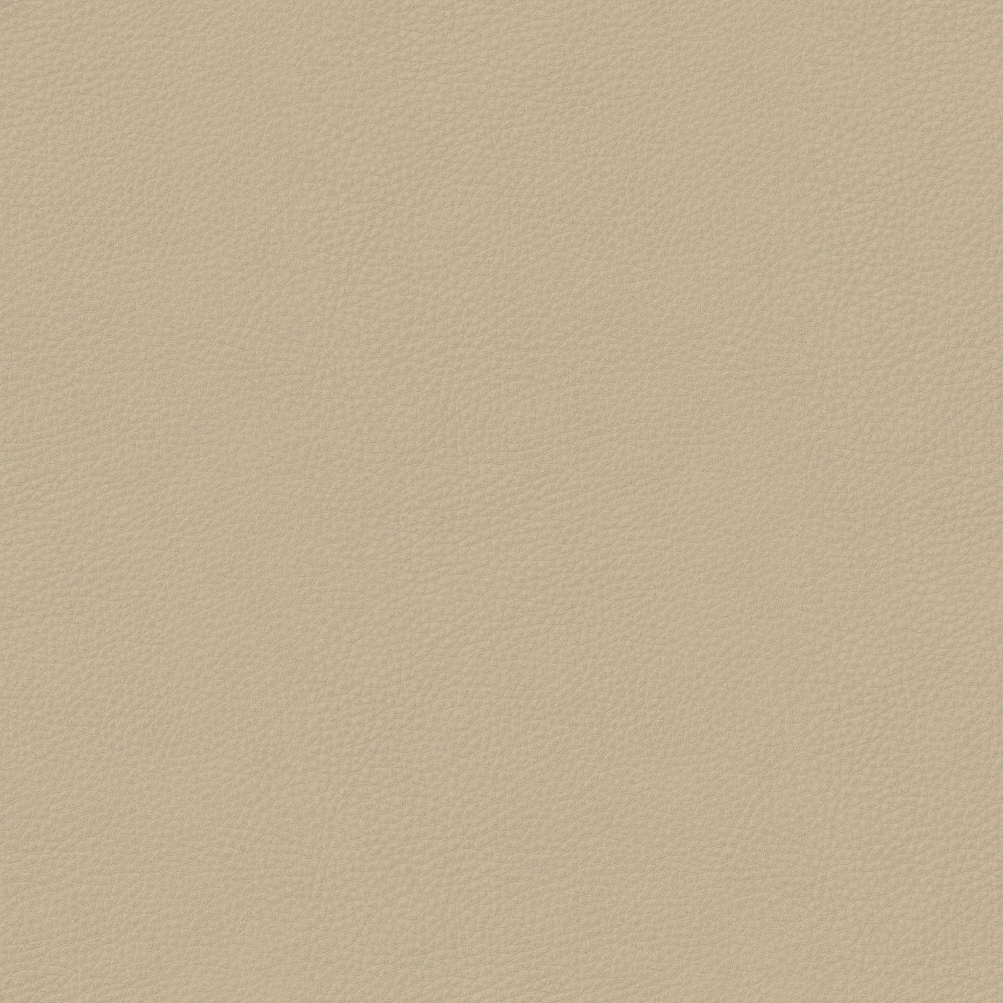 Curran Crema Dining Chair thumbnail 4