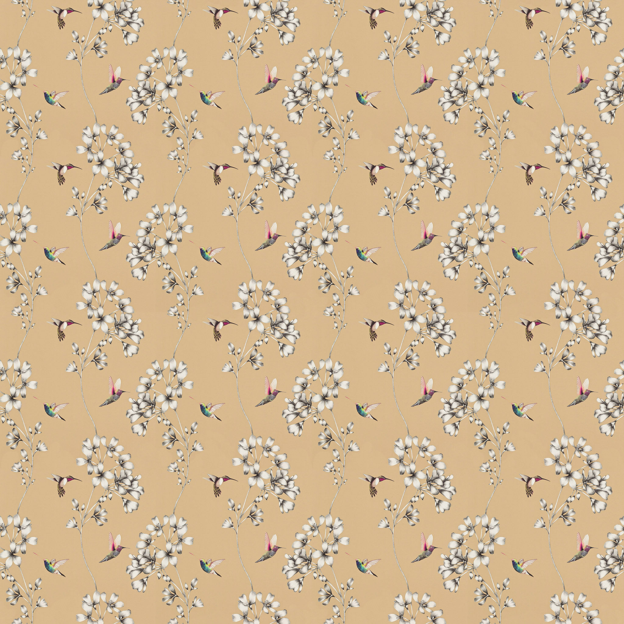 Harlequin Amazilia Wallpaper thumbnail 4