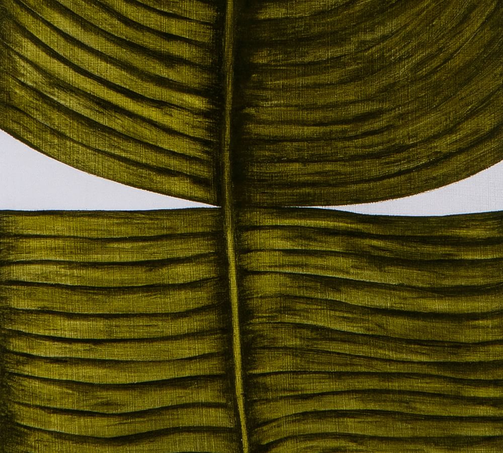 Ficus Elastica Prints by Marianne Hendriks with Frame-33"x40" thumbnail 5