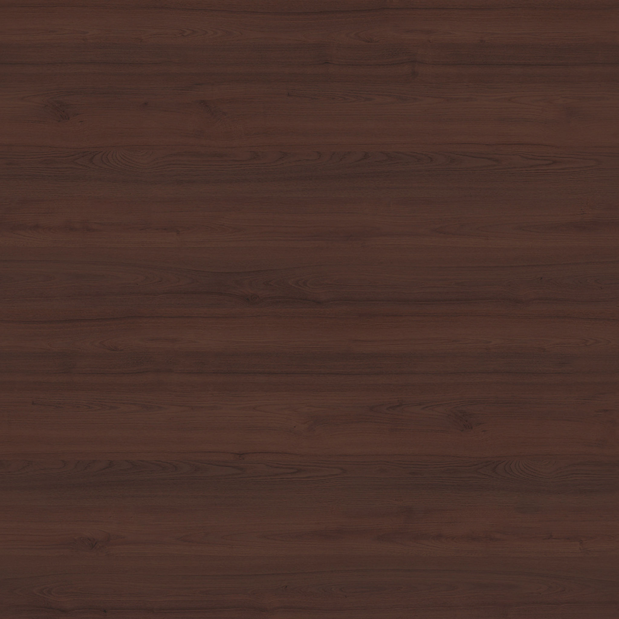 Elsa Bar Cabinet thumbnail 6