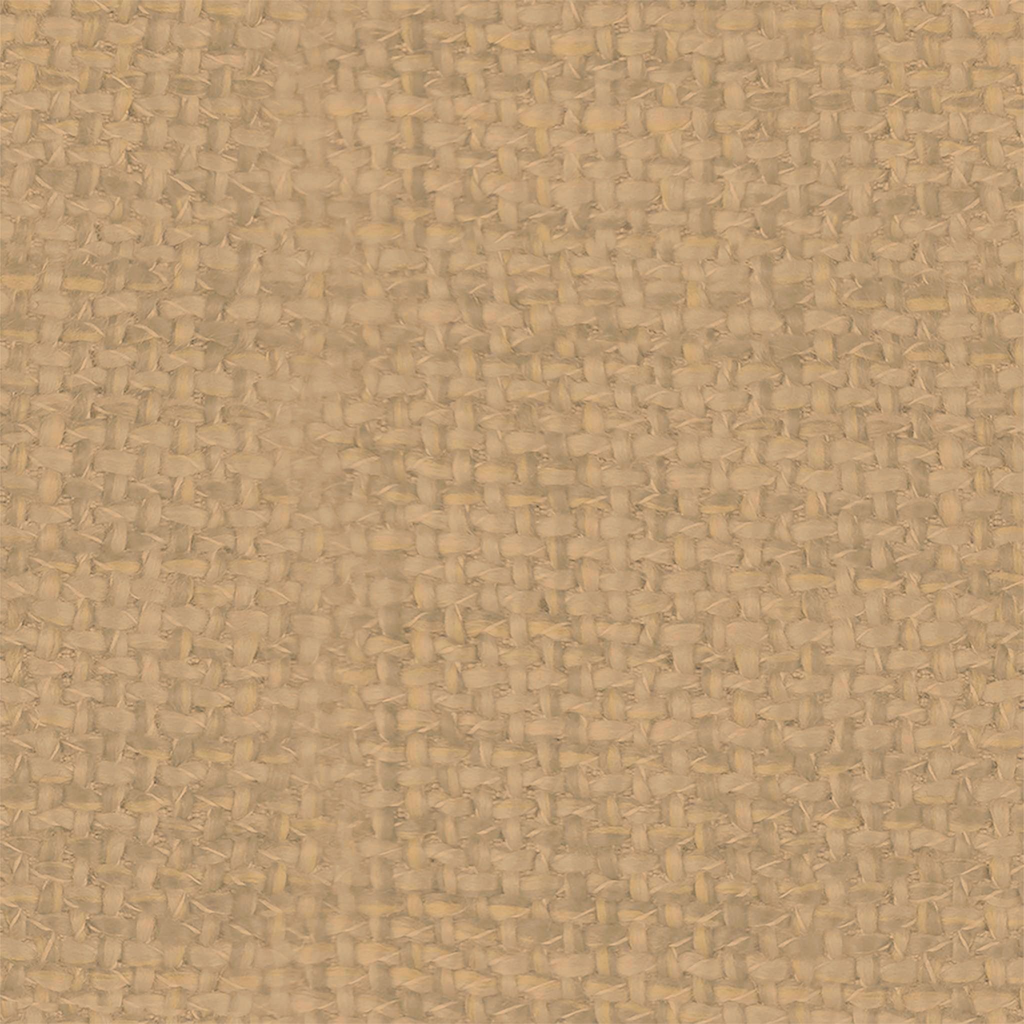 Rayne Dining Chair thumbnail 16