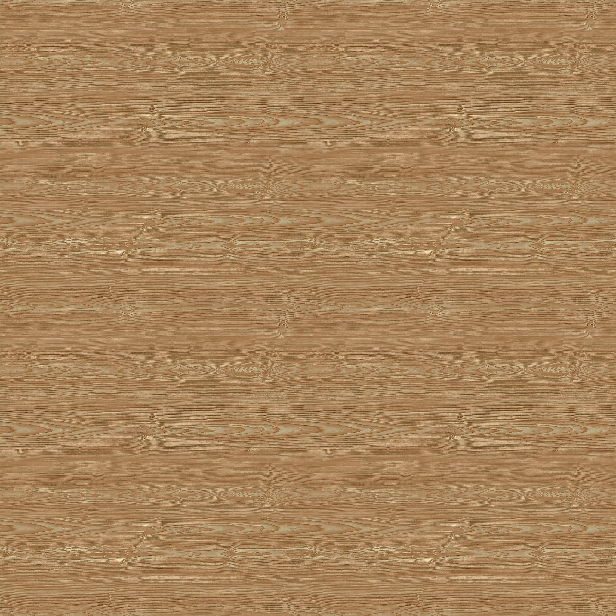 Rayne Dining Chair thumbnail 17