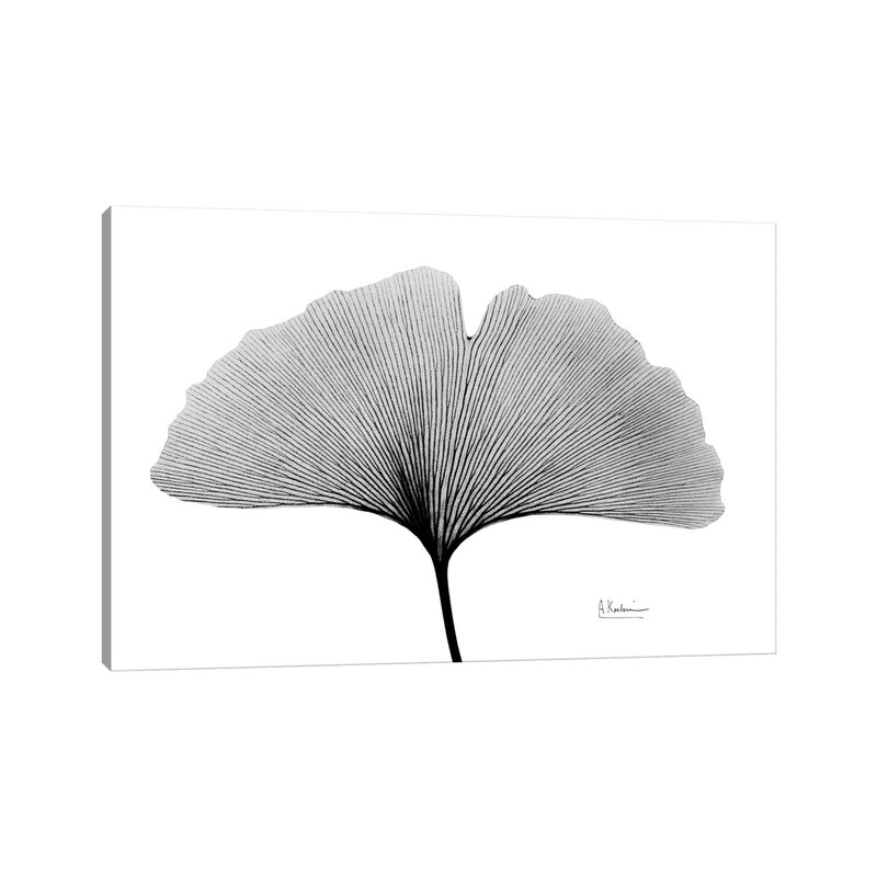 Inverted Ginko I by Albert Koetsier Wrapped Canvas Painting Unframe-26"x40" thumbnail 2