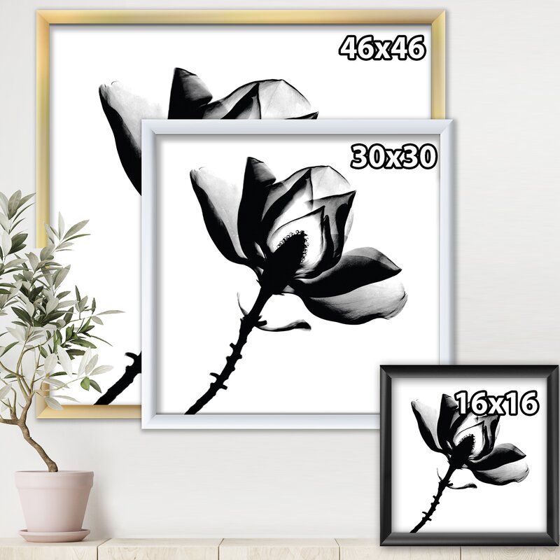 Magnolia X-Ray Picture Print on Canvas With Frame-30"x30" thumbnail 3