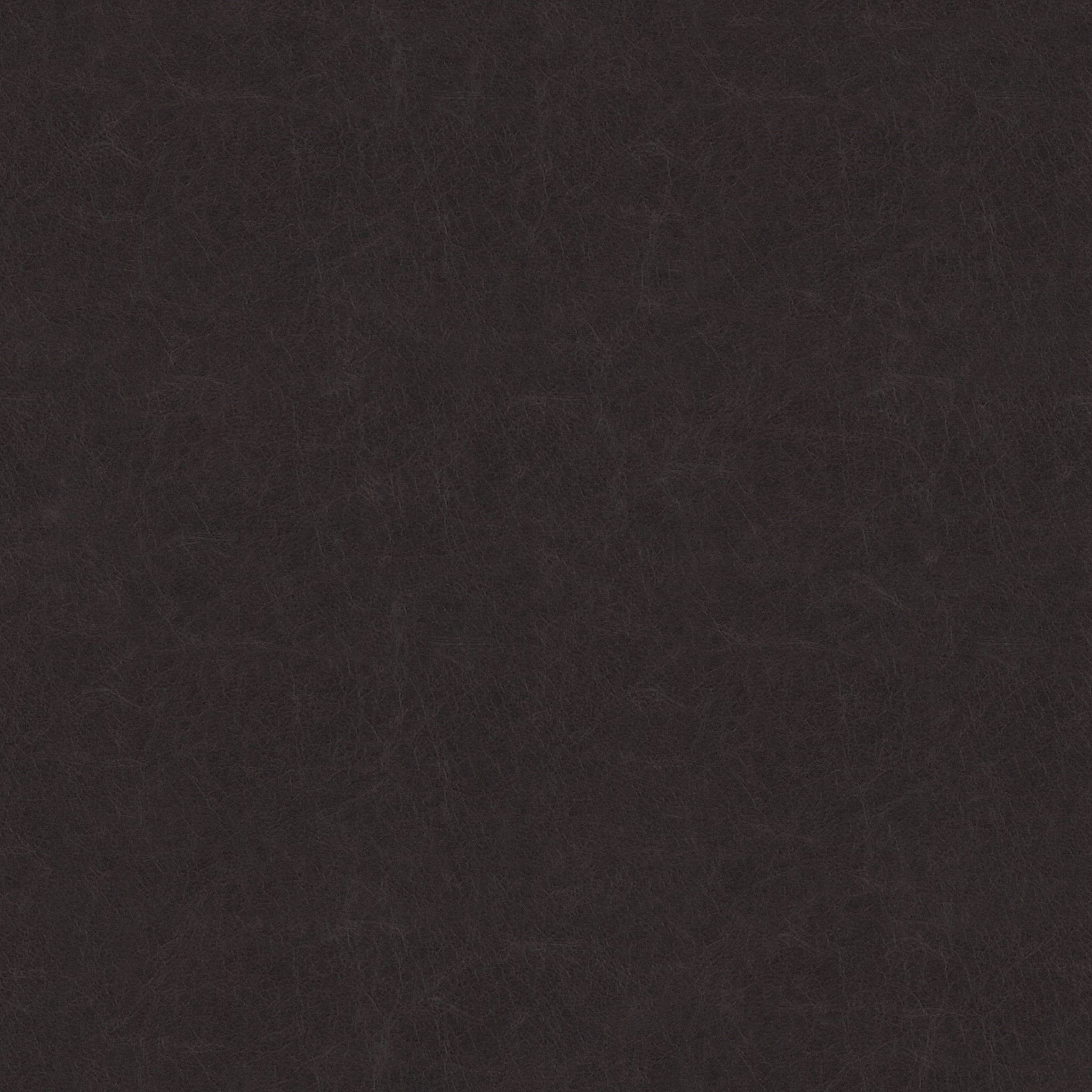 Eicher Side Chair in Chocolate thumbnail 7