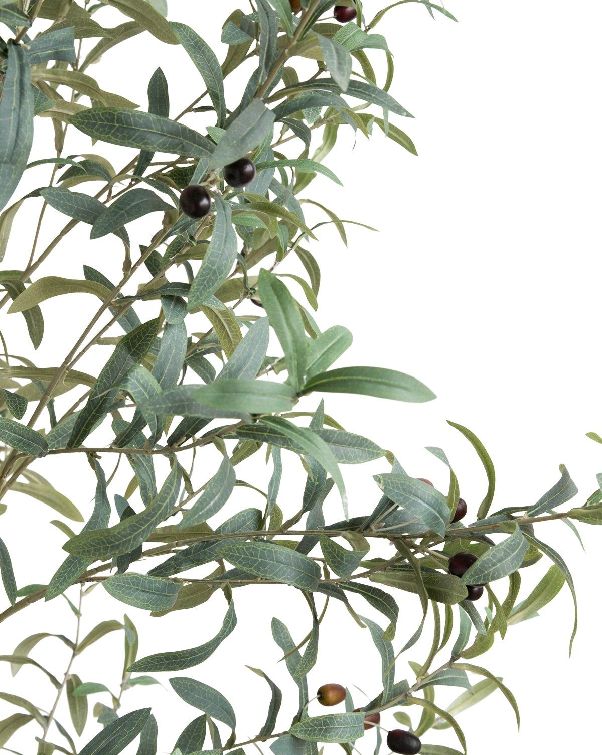 Faux Potted Olive Topiary thumbnail 2