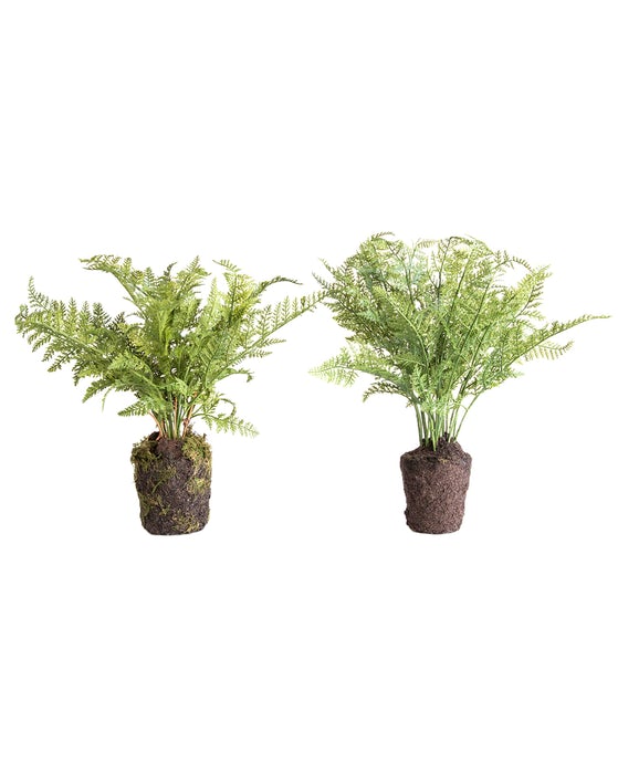 Faux Fern Drop In thumbnail 3
