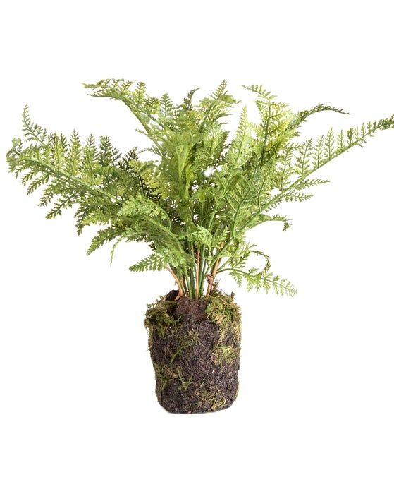 Faux Fern Drop In thumbnail 2