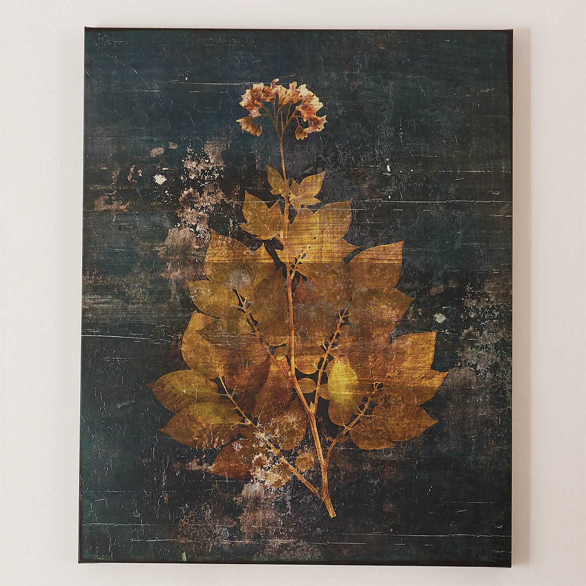 Pressed Flower Print Wall Decor II Unframed-30"x24" thumbnail 2