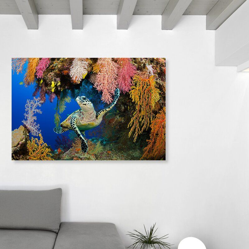 Hawksbill Turtle Fiji Wrapped Canvas Photograph Without Frame 45"x30" thumbnail 2
