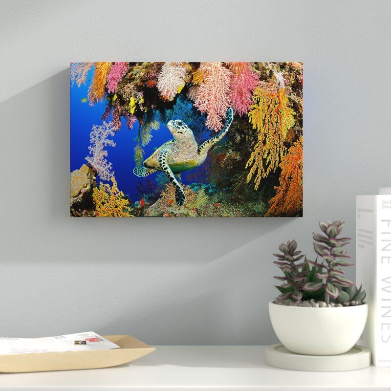Hawksbill Turtle Fiji Wrapped Canvas Photograph Without Frame 45"x30" thumbnail 4