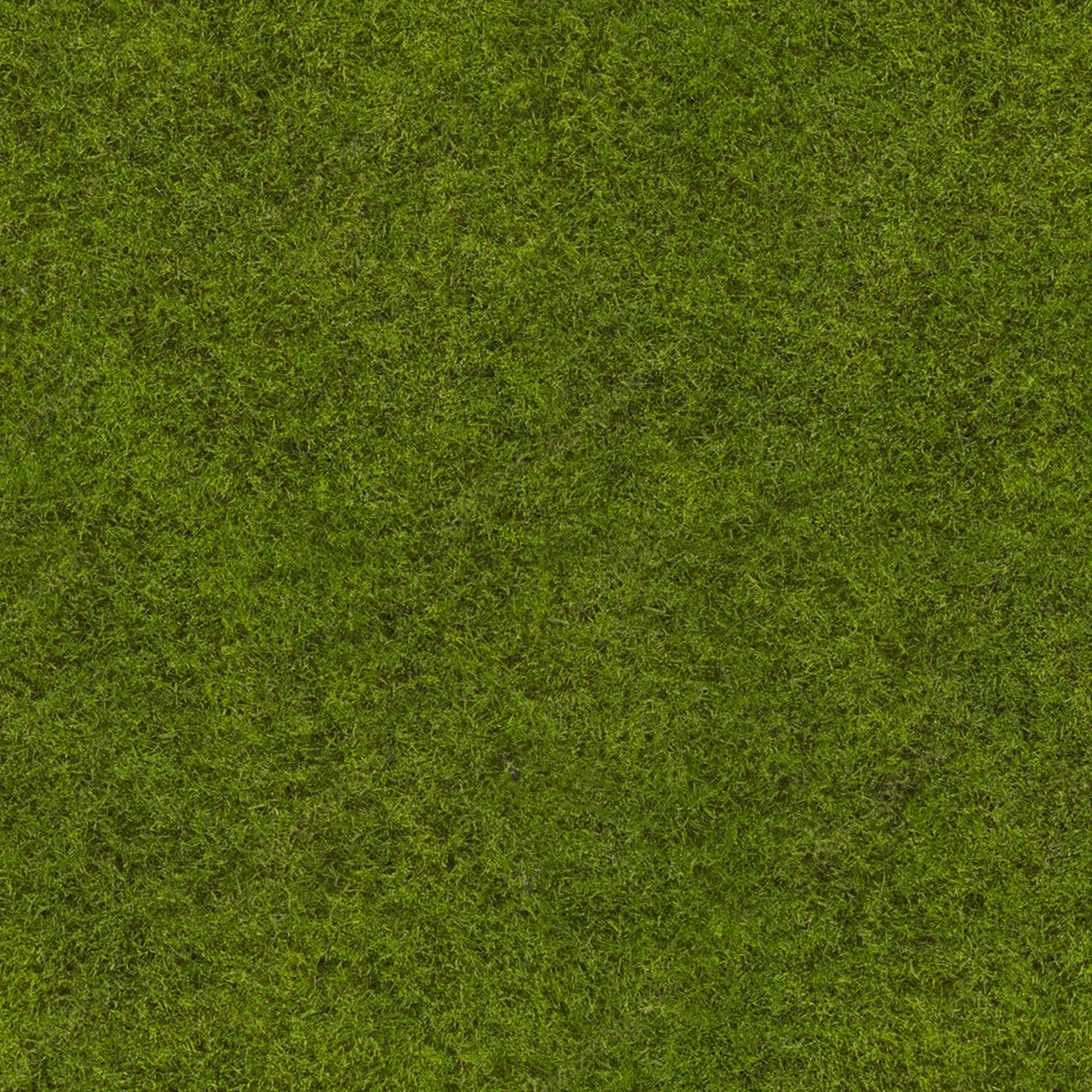 Moss Sphere thumbnail 6