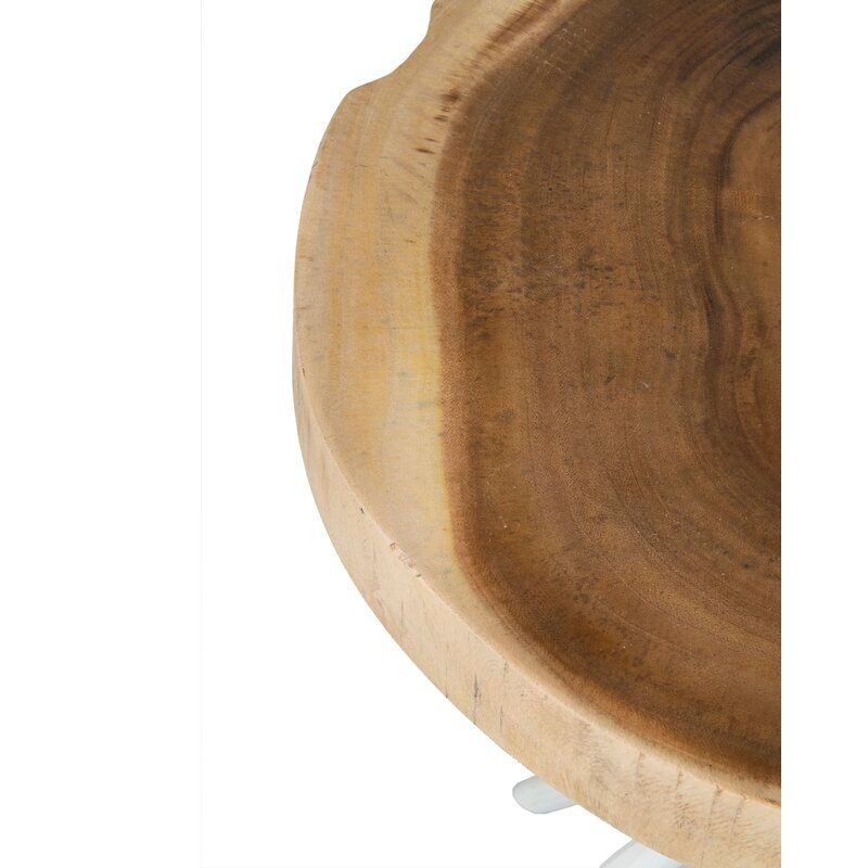 Selah Tall Solid Wood Tree Stump End Table thumbnail 10