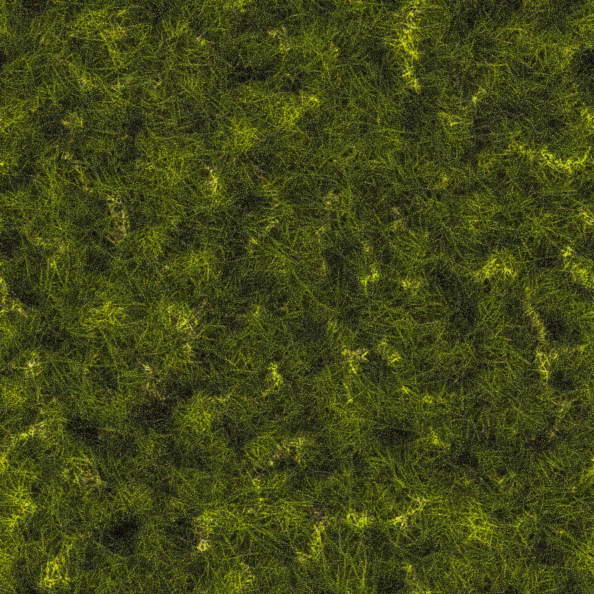 Preserved Moss Topiary in Urn thumbnail 3