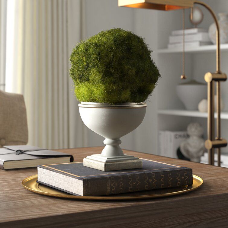 Preserved Moss Topiary in Urn thumbnail 2