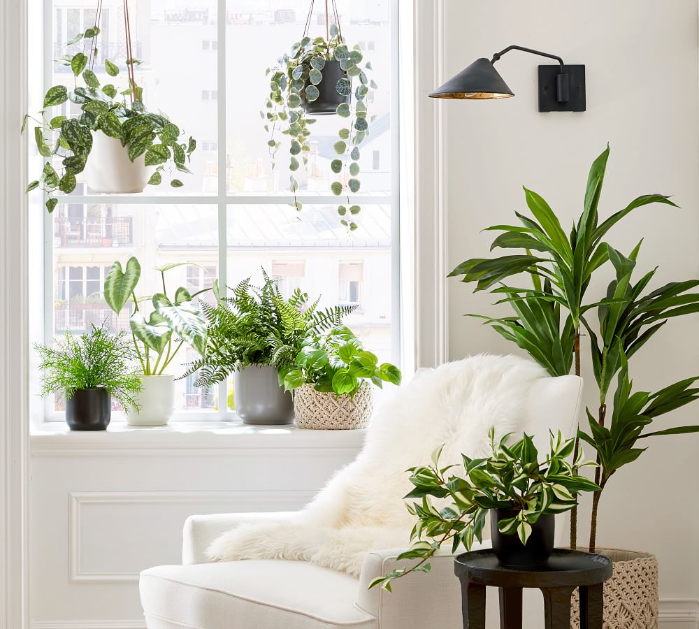 Faux Potted Boston Fern thumbnail 5