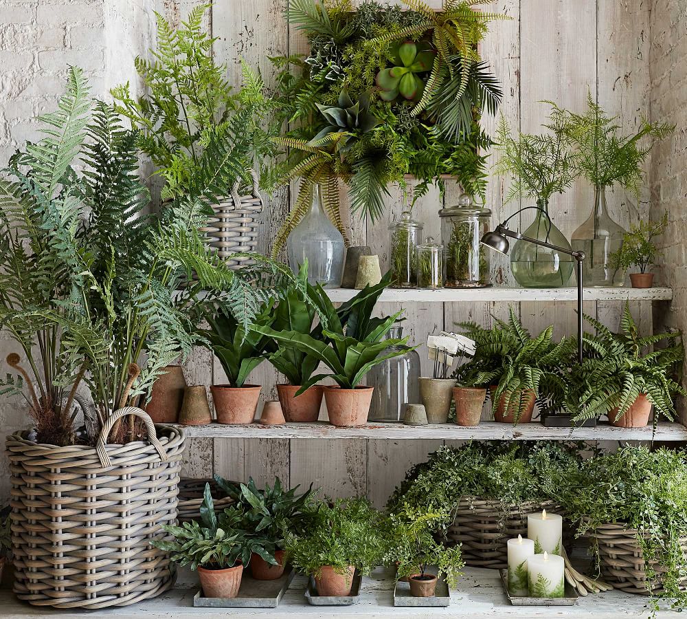 Faux Potted Boston Fern thumbnail 6