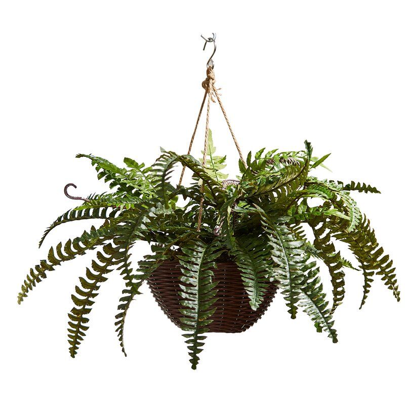 Artificial Boston Fern Plant in Basket thumbnail 2