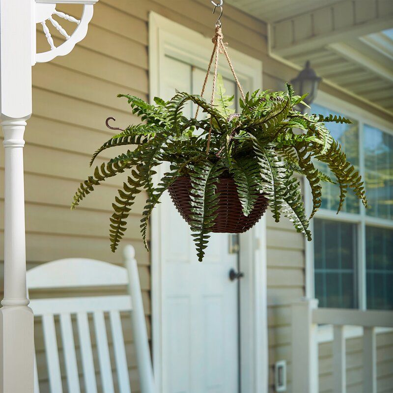 Artificial Boston Fern Plant in Basket thumbnail 3