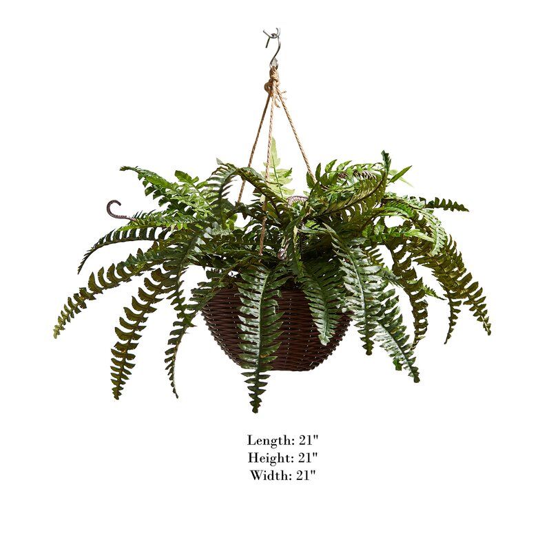 Artificial Boston Fern Plant in Basket thumbnail 5