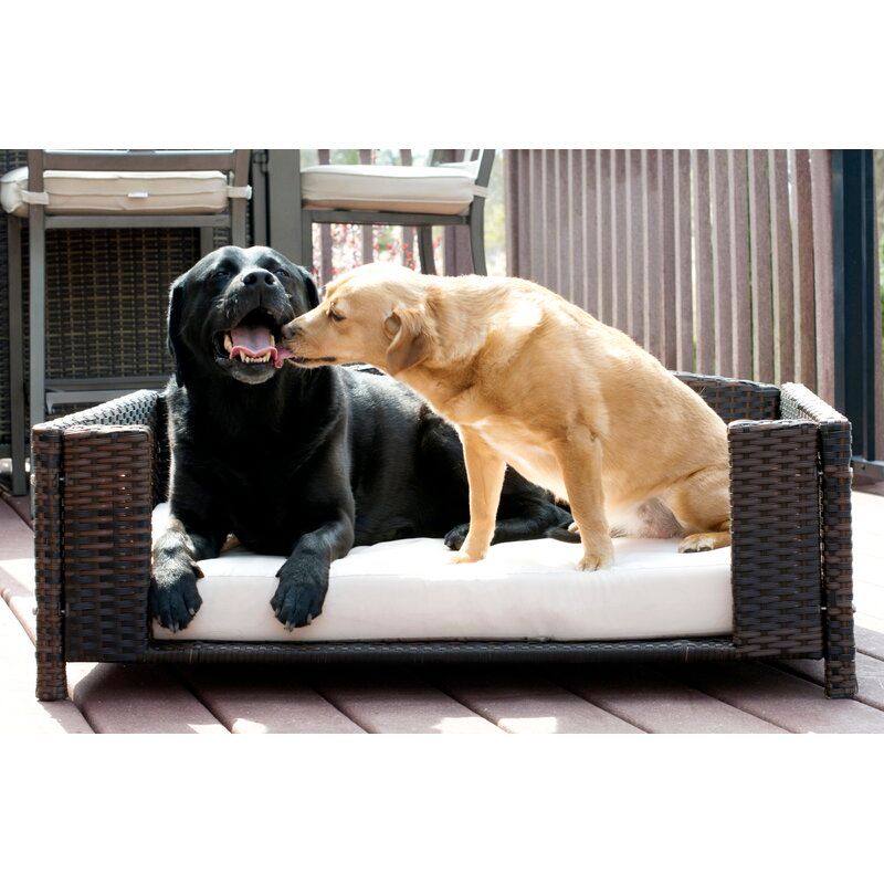 Cristobal Rattan Rectangular Dog Sofa thumbnail 3