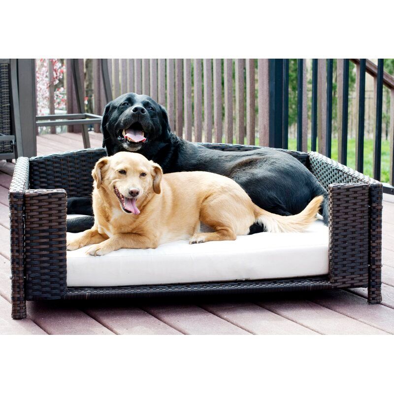 Cristobal Rattan Rectangular Dog Sofa thumbnail 4