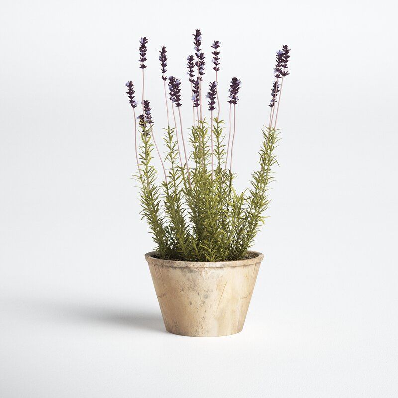 French Lavender Floral Arrangement in Pot thumbnail 2