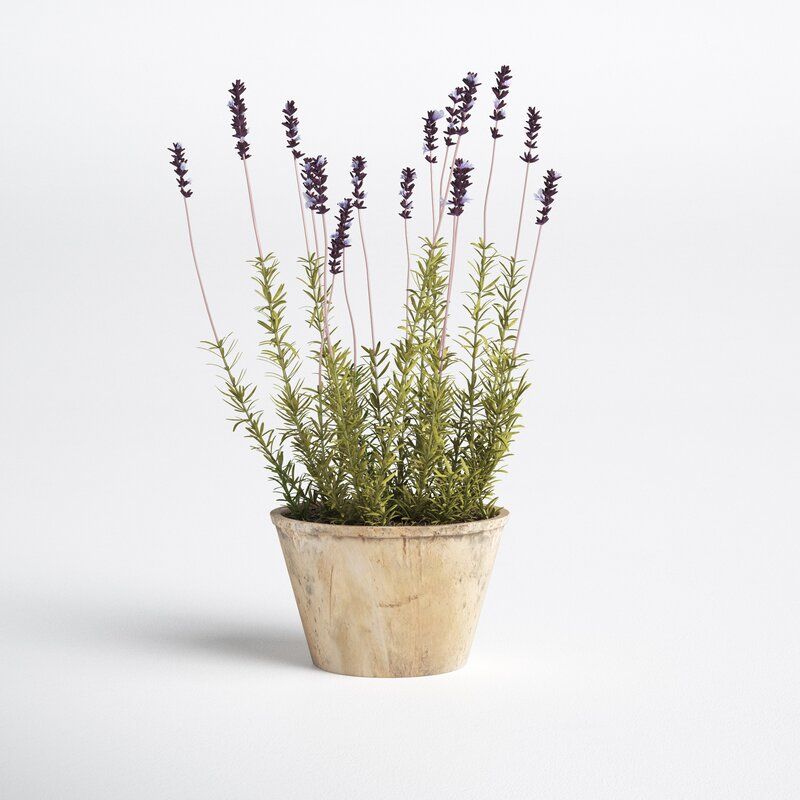 French Lavender Floral Arrangement in Pot thumbnail 3