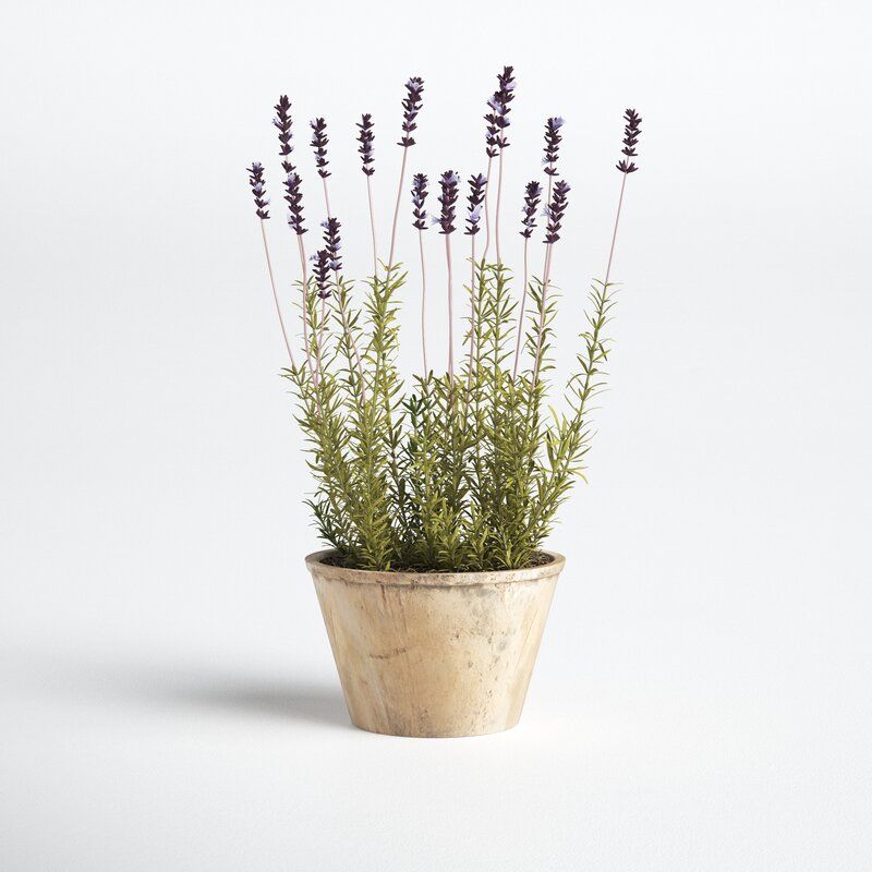 French Lavender Floral Arrangement in Pot thumbnail 4