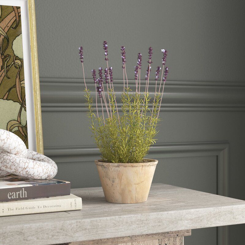 French Lavender Floral Arrangement in Pot thumbnail 5