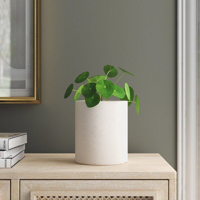 Myles Ceramic Pot Planter thumbnail 3