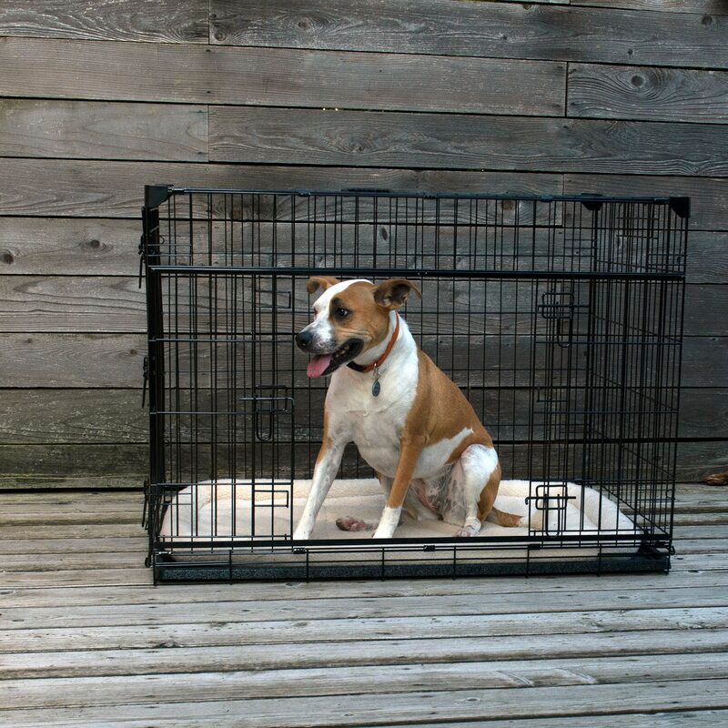 Seaforth Sliding Double Door Pet Crate thumbnail 4