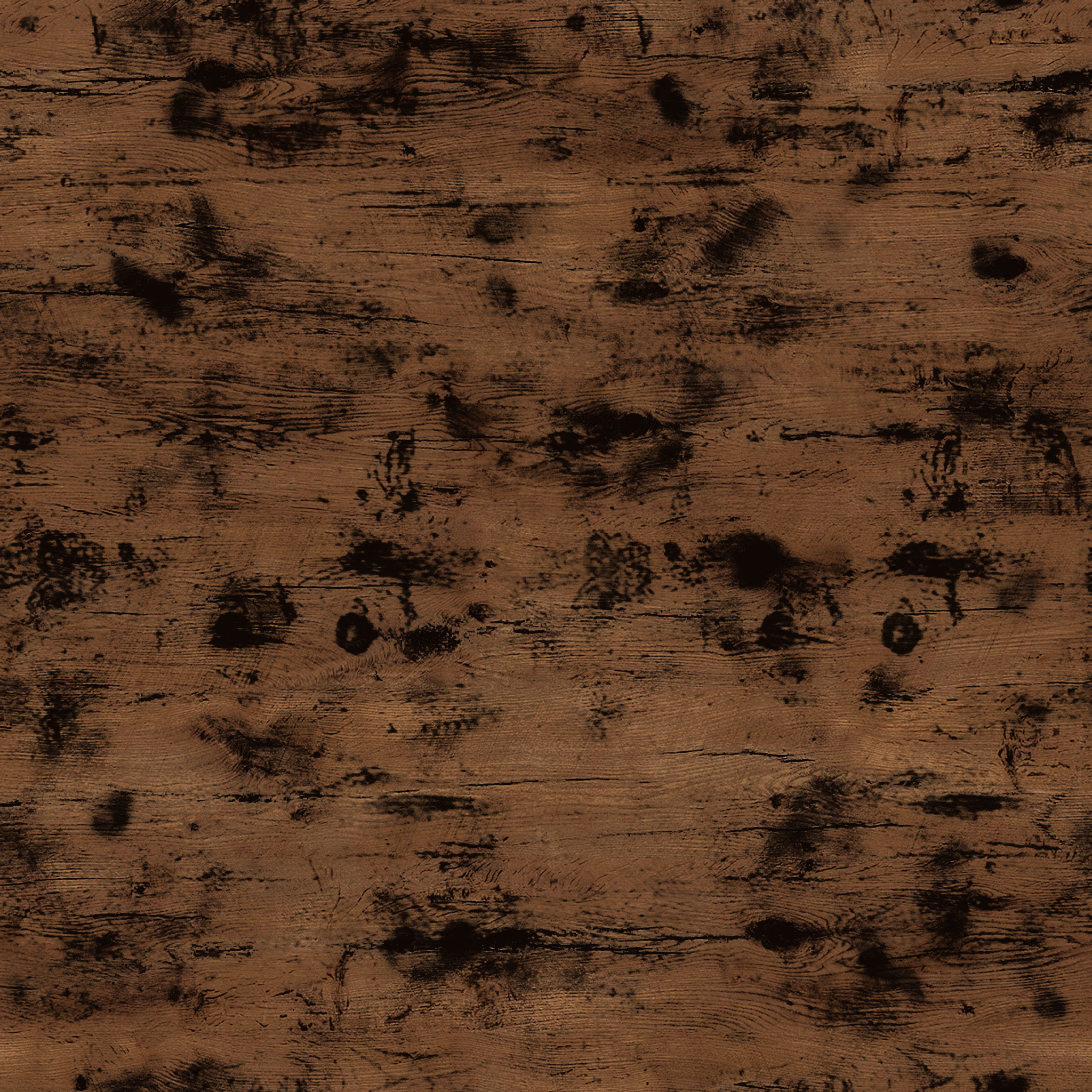 Celinka Bookcase thumbnail 4
