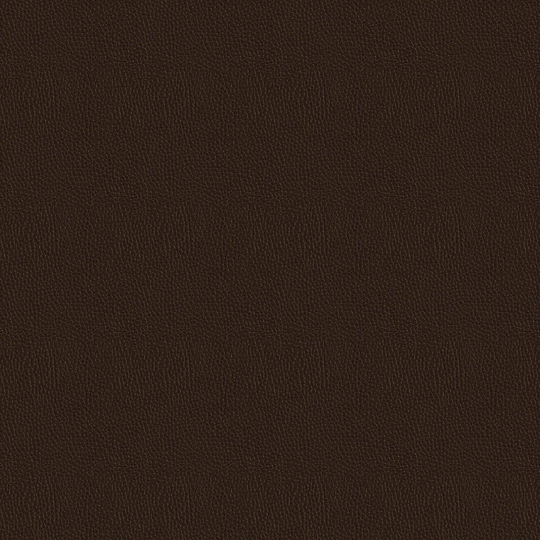 Igipa Genuine Leather Manual Standard Recliner thumbnail 8